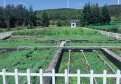 乐鱼（中国）官方